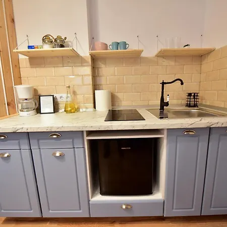 Flh - Central Apartments Sibiu Extérieur photo