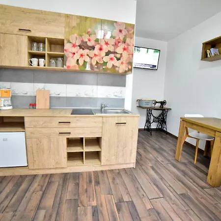 Flh - Central Apartments Sibiu Extérieur photo