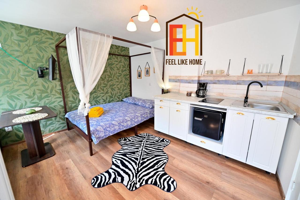 Flh - Sibiu